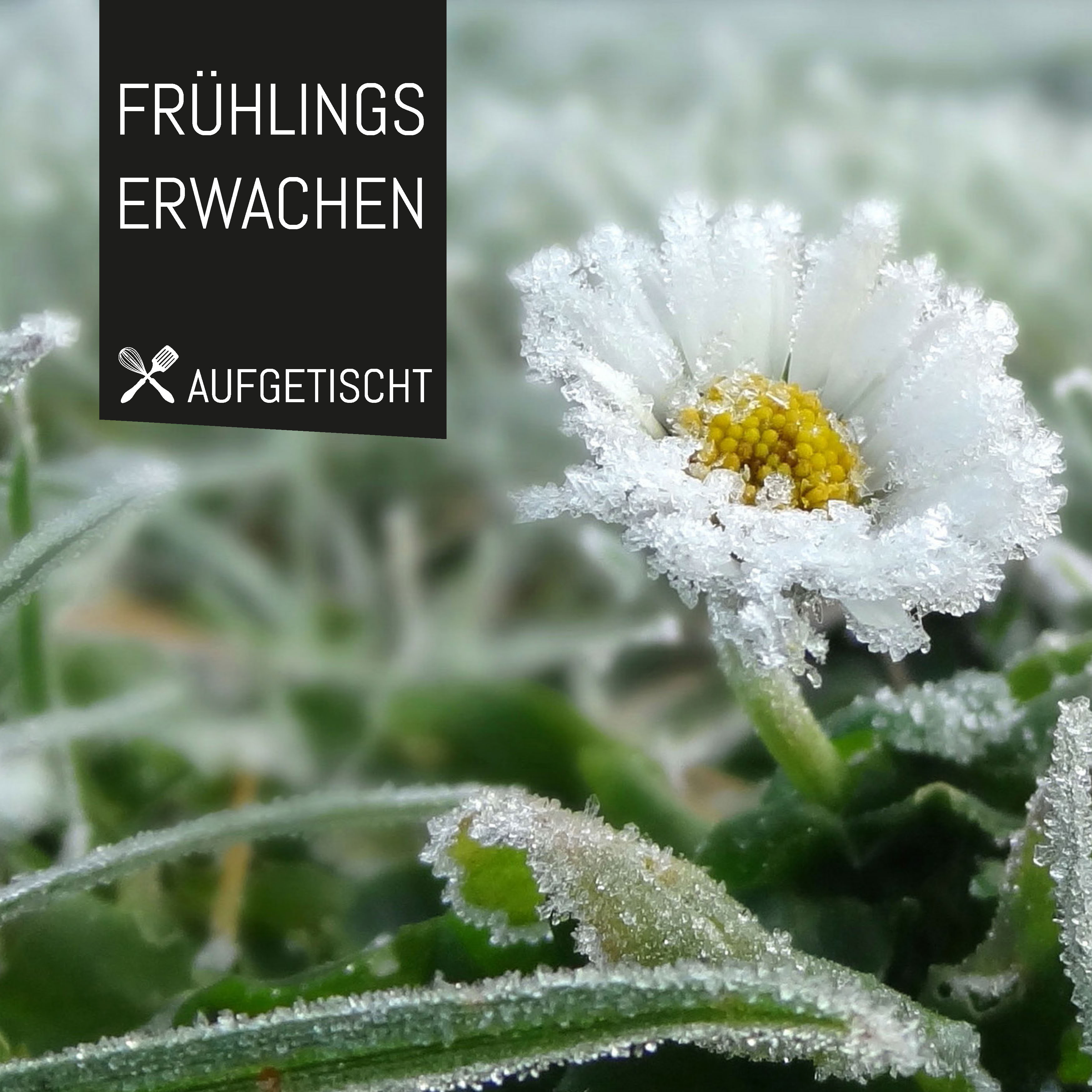 Frühlingserwachen